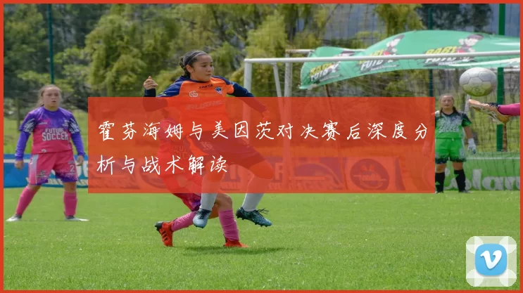 霍芬海姆与美因茨对决赛后深度分析与战术解读