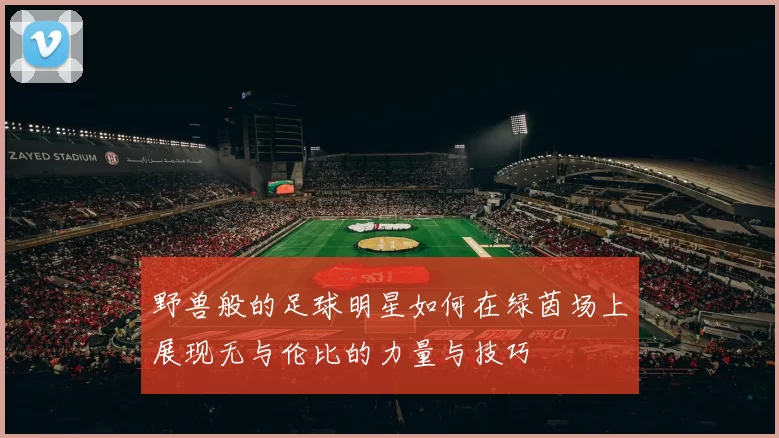 野兽般的足球明星如何在绿茵场上展现无与伦比的力量与技巧