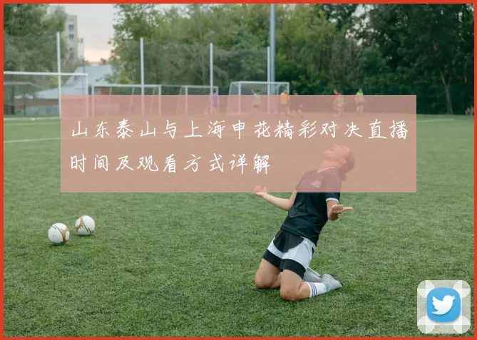 山东泰山与上海申花精彩对决直播时间及观看方式详解