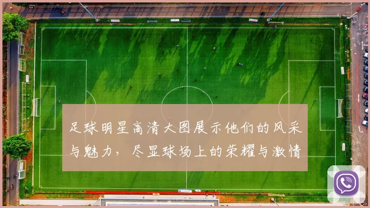 足球明星高清大图展示他们的风采与魅力，尽显球场上的荣耀与激情