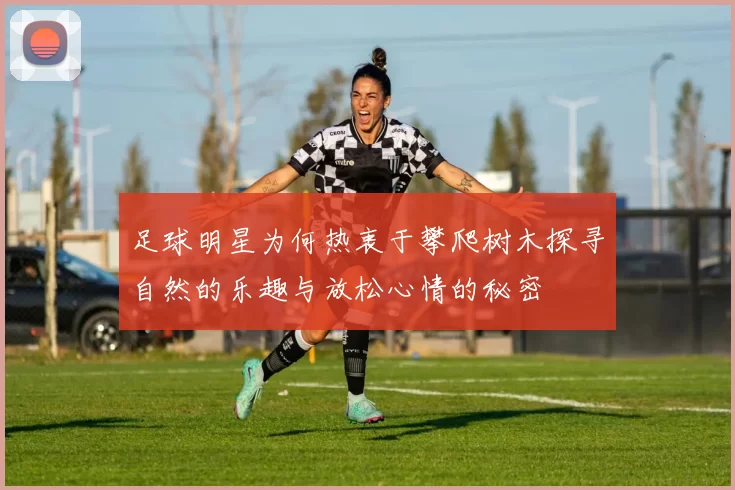 足球明星为何热衷于攀爬树木探寻自然的乐趣与放松心情的秘密